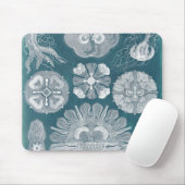 海洋生物設計図IV マウスパッド (マウス)