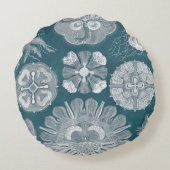 海洋生物設計図IV ラウンドクッション (裏面)