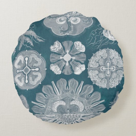 海洋生物設計図IV ラウンドクッション (裏面)