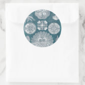 海洋生物設計図IV ラウンドシール (バッグ)