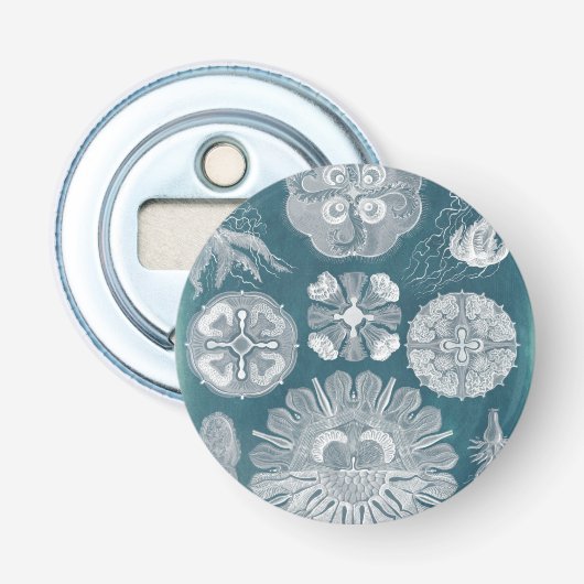 海洋生物設計図IV 栓抜き (正面)