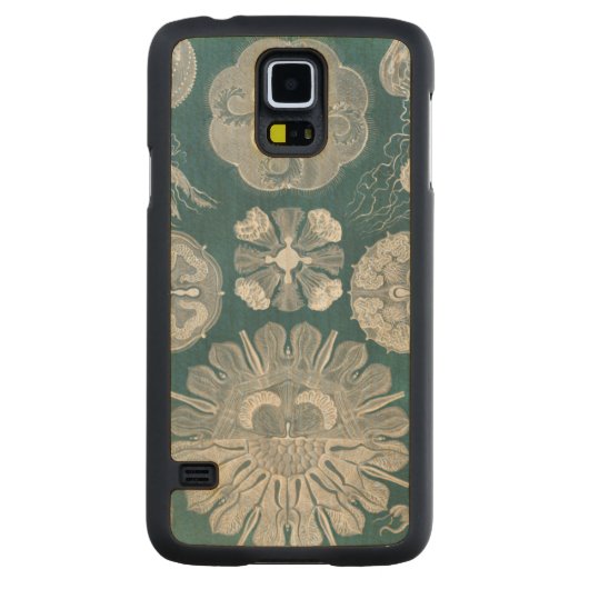 海洋生物設計図IV CarvedメープルGalaxy S5スリムケース (裏面)