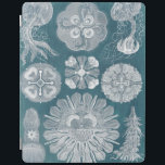 海洋生物設計図IV iPadスマートカバー<br><div class="desc">海洋生物</div>