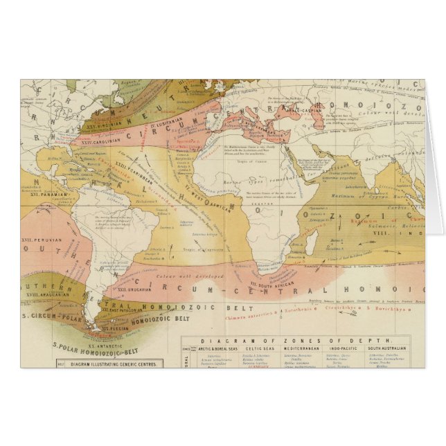 海洋生物 (正面横)