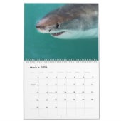 海洋生物 カレンダー (3月 2026)