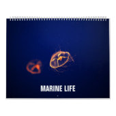 海洋生物 カレンダー (カバー)