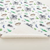 海洋生物 シェルパブランケット (3/4)