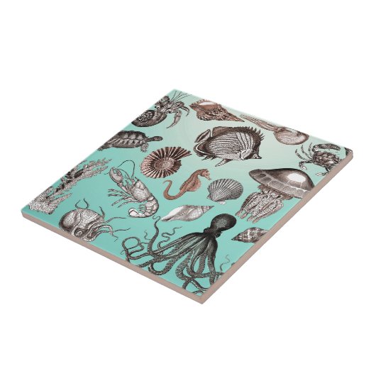 海洋生物 タイル (側面)
