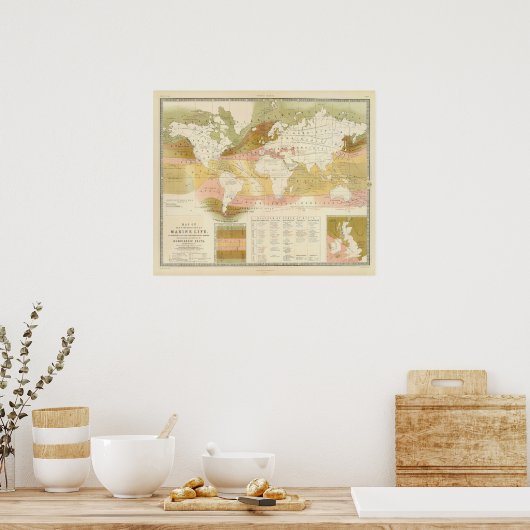 海洋生物 ポスター (キッチン)