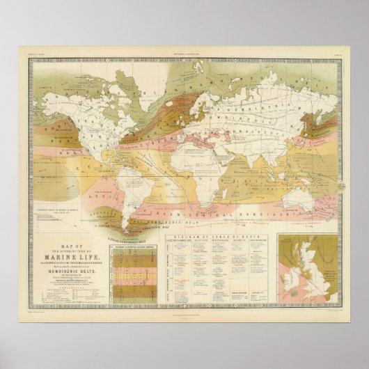 海洋生物 ポスター (正面)