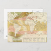 海洋生物 ポストカード (正面/裏面)