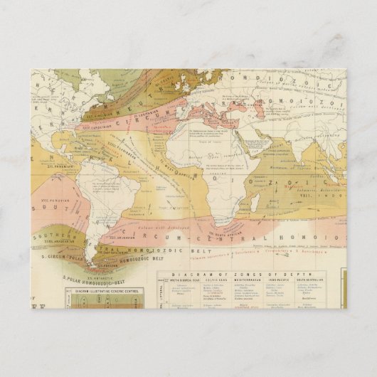 海洋生物 ポストカード (正面)