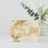 海洋生物 ポストカード (スタンド正面)