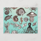 海洋生物 ポストカード (正面)