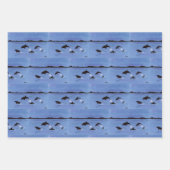 海洋生物 ラッピングペーパーシート (正面3)