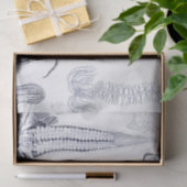 海洋生物/海洋の生物学の奇妙な海の創造物 薄葉紙 (ギフト)