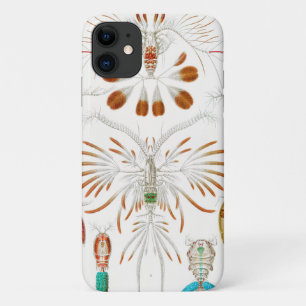 海洋生物 甲殻類、コペポダ(ハエクエルによる) iPhone 11 ケース