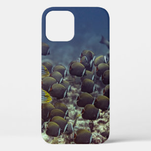 海洋背景のサンゴ礁の魚、カラフル iPhone 12ケース