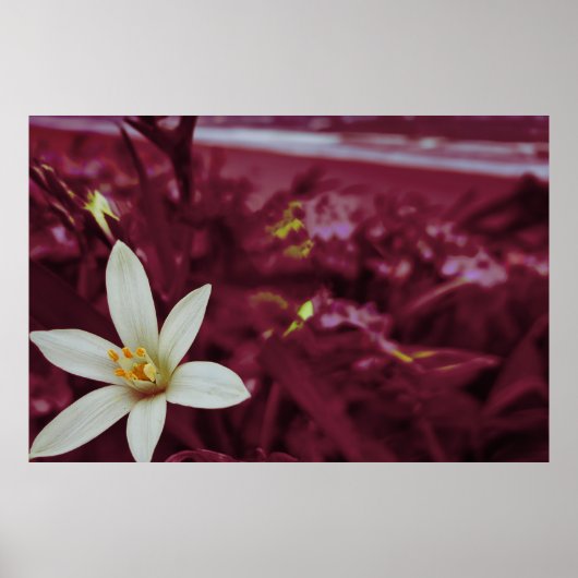 海洋花景観アート ポスター (正面)