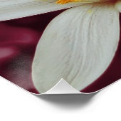 海洋花景観アート ポスター (コーナー)