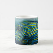 海洋魚類 - 保全マグカップ コーヒーマグカップ (中央)