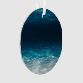 海海底水 オーナメント (正面)