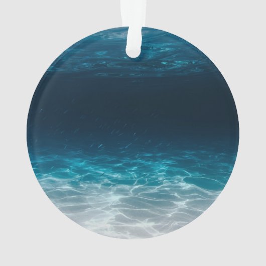 海海底水 オーナメント (裏面)