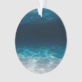 海海底水 オーナメント (正面)