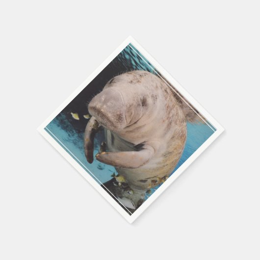 海牛の水泳 スタンダードカクテルナプキン (角)