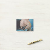 海牛水泳 ポストイット (デスク上)