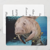 海牛水泳 招待状 (正面/裏面)