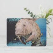 海牛水泳 招待状 (スタンド正面)