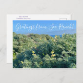 海牧場からの挨拶！ ポストカード (正面/裏面)