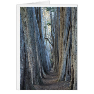 海牧場、カリフォルニア