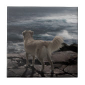 海犬 タイル (正面)