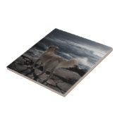 海犬 タイル (側面)