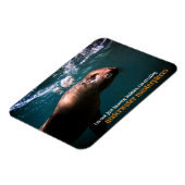 海獅子吹の泡が水中に マグネット (左側)