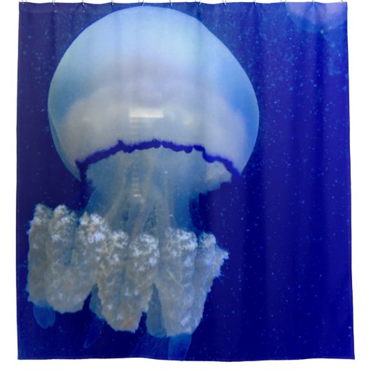 海獣 シャワーカーテン (正面)