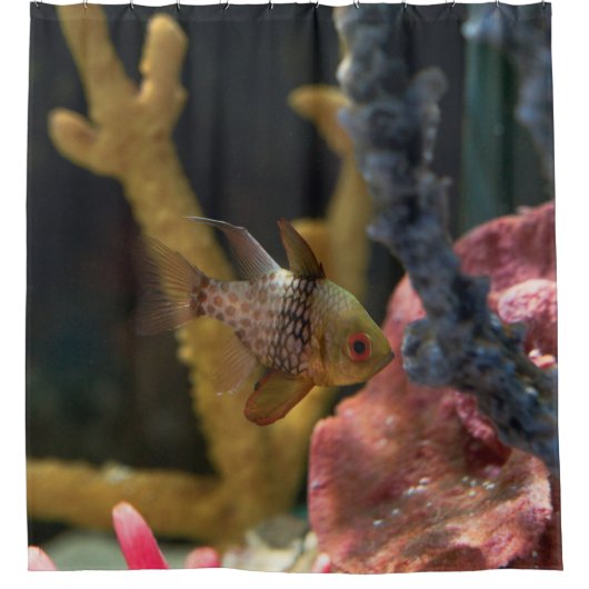 海獣 シャワーカーテン (正面)
