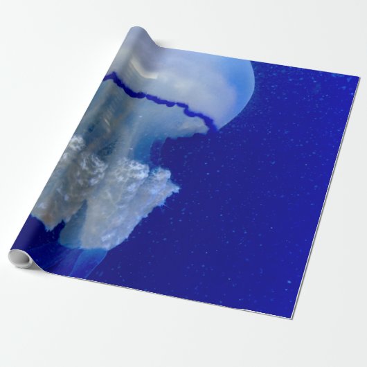 海獣 ラッピングペーパー (アンロールド)