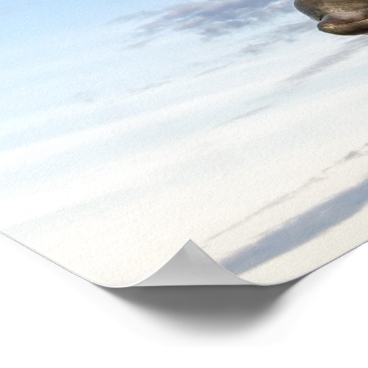 海王像 ポスター (角)