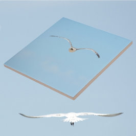 海王室の沿の空の青の飛行中のパターン タイル