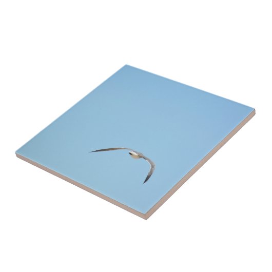 海王室の鳥の海の青の飛行の中のパターン タイル (側面)