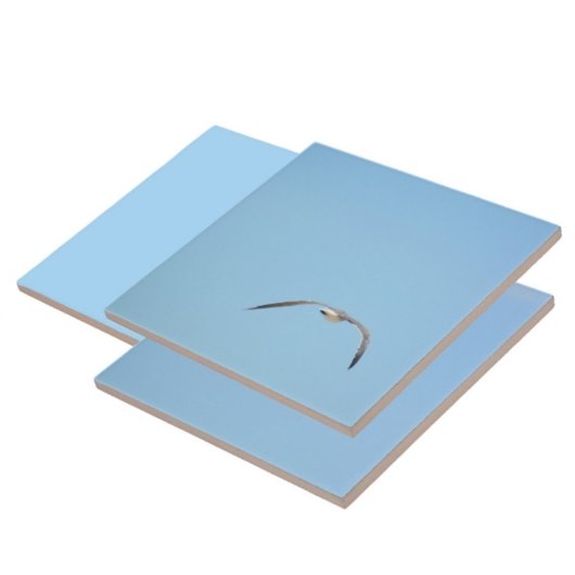 海王室の鳥の海の青の飛行の中のパターン タイル