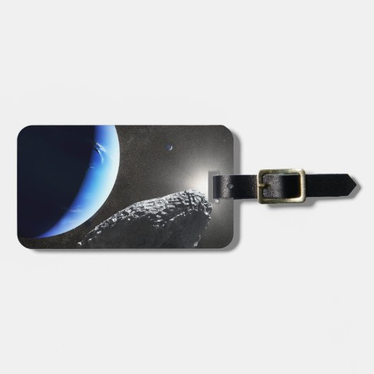 海王星の小さな月のカバ。 ラゲッジタグ (正面横)