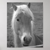 海王星 ポスター (正面)