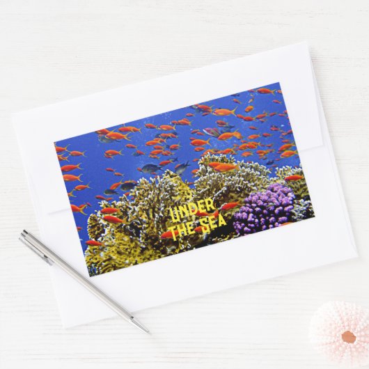 海珊瑚礁の下の青い水の学校 長方形シール (封筒)