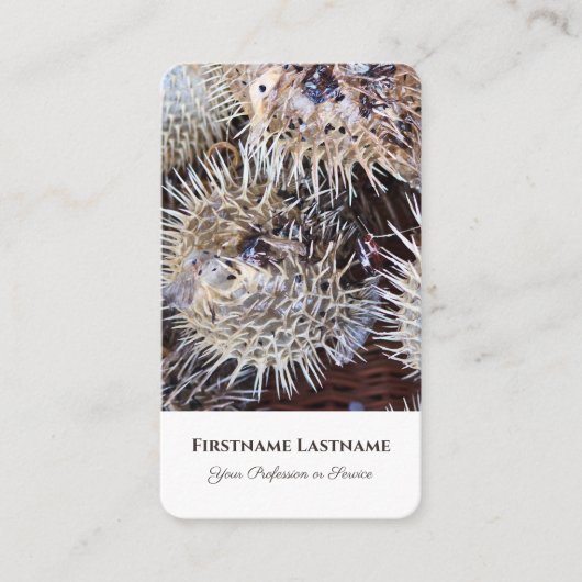 海産のフグ旅行代理店の専門家 名刺 (正面)