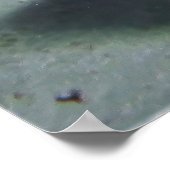 海産魚ペア ポスター (角)