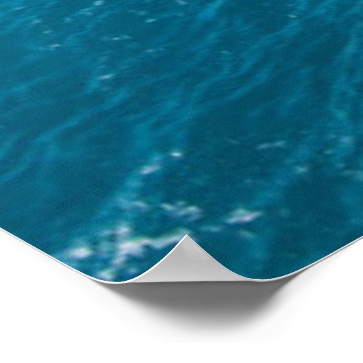 海窓 ポスター (角)